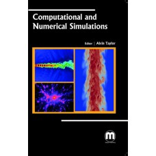 COMPUTATIONAL AND NUMERICAL SIMULATIONS