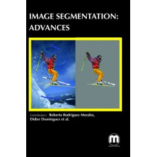 IMAGE SEGMENTATION: ADVANCES