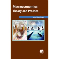 MACROECONOMICS: THEORY AND PRACTICE